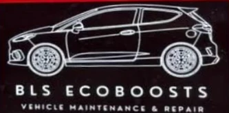 BLS Ecoboosts logo